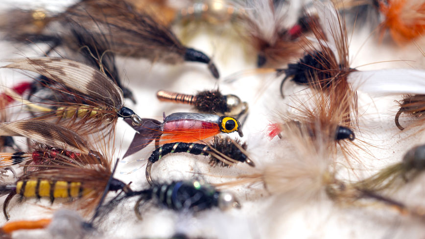 flyfishing-bg
